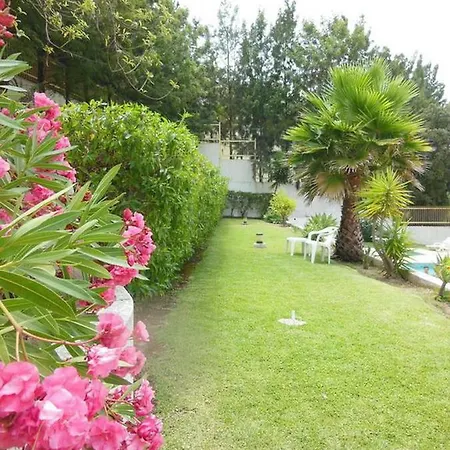 Casa Nikolina * 阿尔布费拉